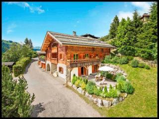 Appartement 4* cosy, terrasse sud, proche pistes, parking, Wi-Fi - FR-1-304-231 - La Clusaz - 0
