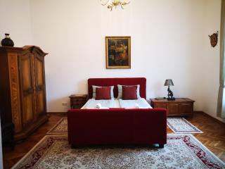 Weisz Castle style Apartment-City Center- Free Private Parking - 1