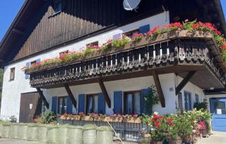 Nagelfluhhaus Hirsch - 5