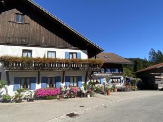 Nagelfluhhaus Hirsch - 3