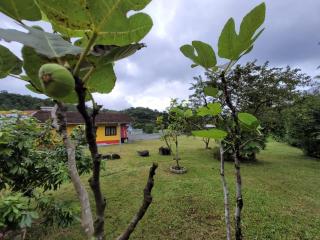 Casa Refúgio Pomerano - 3