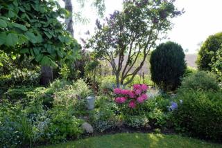 Bungalow Mumm - Dahme - 4