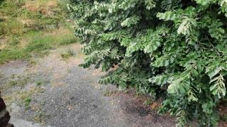 Résidence le moulin brûlé - 1