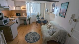 Cosy Planta - Hypercentre - Pau - 4
