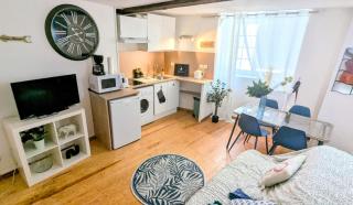 Cosy Planta - Hypercentre - Pau - 3