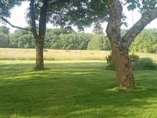 Le Studio de Larouquey - 1