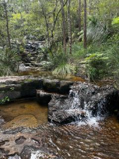 Casual comfort in Byron Shire - Mullumbimby - 6