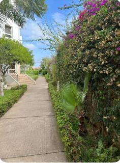 SunRose appartement, Luxueux, sécurisée, piscine, Wi-FI, Pool et parking - 7