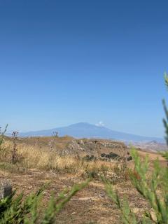 B&B Villa Antonella - Piazza Armerina - 3