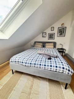 Soh Rent Strasbourg Studio 1Tv - Wifi proche gare - 7