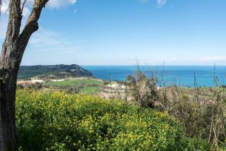 A20 - Poggio, villetta singola completamente ristrutturata - 7
