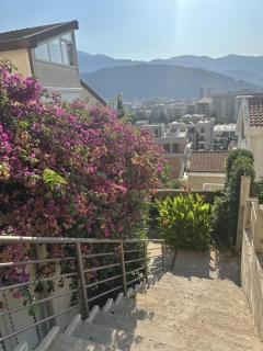 Apartments Top of Budva - 9