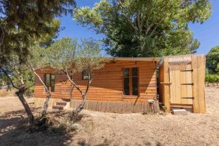 cabane des vignes - Cotignac - 1