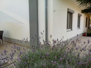 Apartment Violeta - 4