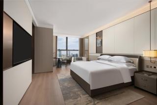 Wyndham Garden Urumqi Innovation Square - Ürümqi - 8