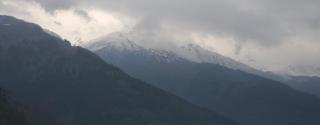 Whistling Wood - 1