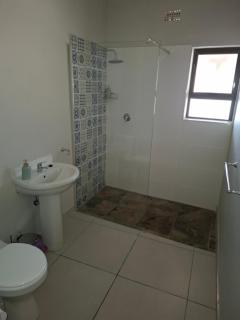 Fig Tree - Colesberg - 9