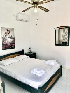 Hotel Albatross - 4