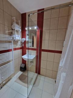 Apartmani i sobe PARK - Soba 1 - Apatin - 1