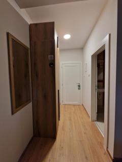 Apartmani i sobe PARK - Soba 1 - Apatin - 3