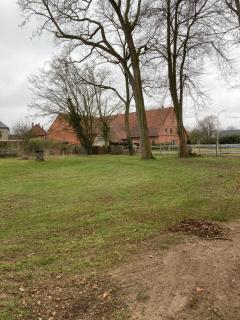 Ferienwohnung Hofliebe in Päpinghausen - Minden - 9