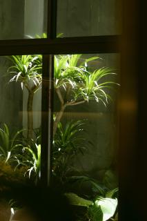 CIBI Homes - Hanoi Central Living Space - 6