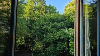 Micro Cottage among the trees - - 4