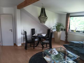 Voll ausgestattete 78 qm Wohnung zur Alleinnutzung - Euskirchen - 4
