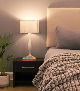 Cozy Corner Apartment - 4
