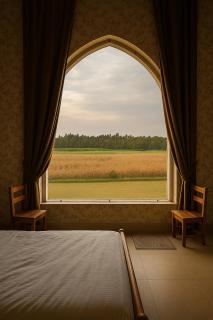 Qila Hotel - 5