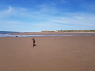 Cosy, coastal cottage- Beach, Pub and shop nearby - Haverigg - 5