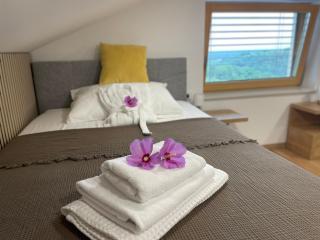 Wellness Počitniška hiša Manja - 3