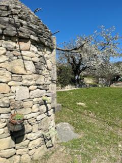 Le Cabanon - Mane - 1