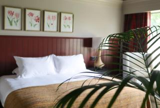 Ballyroe Lodge - Tralee - 2