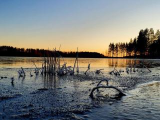 Birch Beach - Peränne - 2