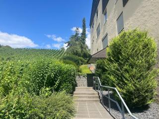 Mosel Valley View Apartment - Budget-Friendly with Garage - 7