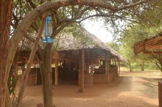 Ego Lakeside Safari Retreat- Yala Tissamaharama - Tanjanagaram - 5