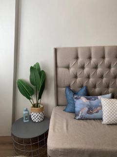 Kaneel Suiker - Paarl - 2