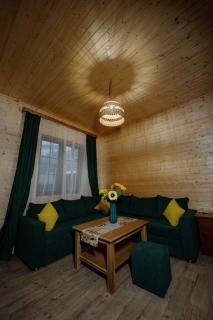 Аревацахик Подсолнух, Sunflower - Vanadzor - 8