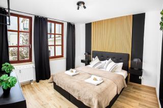 Black Diamond Apartment I Zentrum I Parken I Küche I WLAN I - Magdeburgo - 9