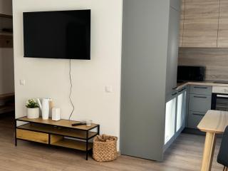 Center Studio type apartment - 8