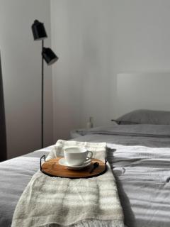 Center Studio type apartment - 1
