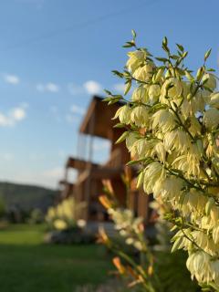 Шале Рутенія - Chalet Rutenia apartments - 3