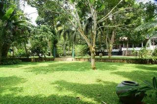 Mango Breeze Hikkaduwa - 0