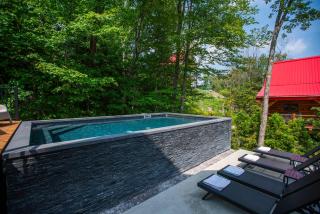 The ANIMAL - PARTY TIME - POOL SPA AND MOUNTAIN - 5