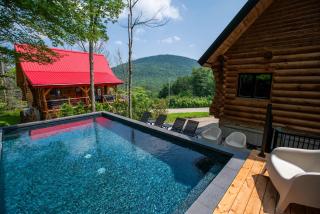 The ANIMAL - PARTY TIME - POOL SPA AND MOUNTAIN - Saint-Philémon - 5