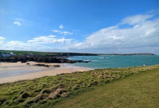Tamarisk - Saint Merryn - 6