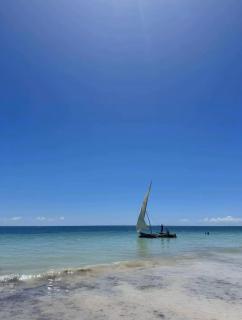 Tropical Boho beachront retreat with views & pool - Diani Beach - 2