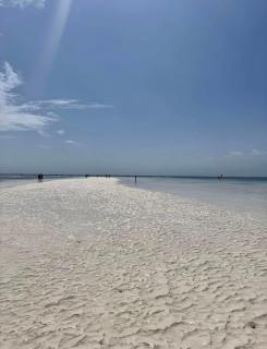 Tropical Boho beachront retreat with views & pool - Diani Beach - 1