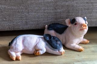 Alpen Resort Saalbach D4 - 2